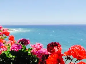 Nikos Place