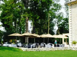 Lavandin - Château Les Oliviers de Salettes