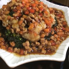 colorful snowland User Photo