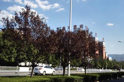 肯德基(郑大店)