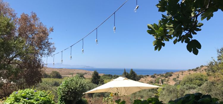 Limon Gumusluk