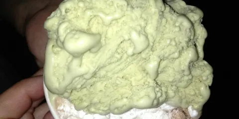 Sottozero the Gelato Factory