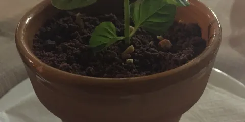 La Locanda del Maniscalco