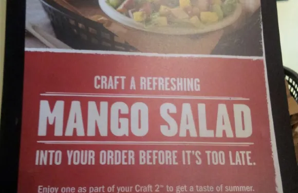 Qdoba Mexican Grill