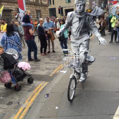 The Elephant House User Photo