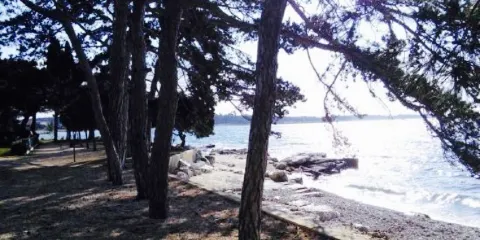 Villa Rosetta beach bar