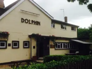 The Dolphin