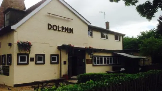 The Dolphin