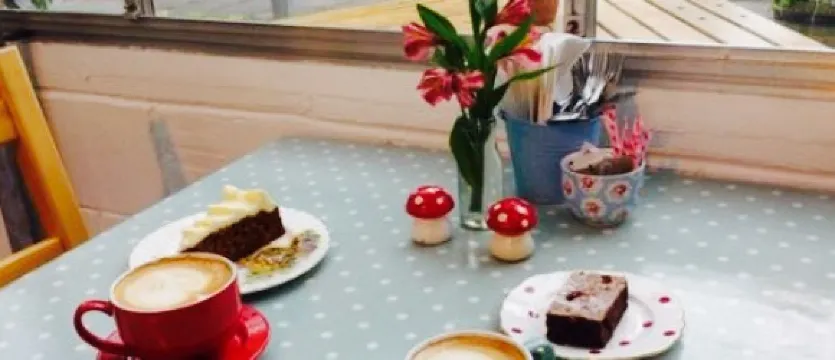 The Tree Shop Cafe