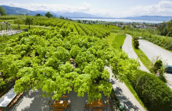 蒙特福特斯奇羅斯勒酒店