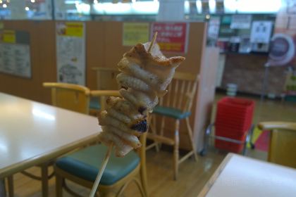 Hasegawa Store Bay Area Shop