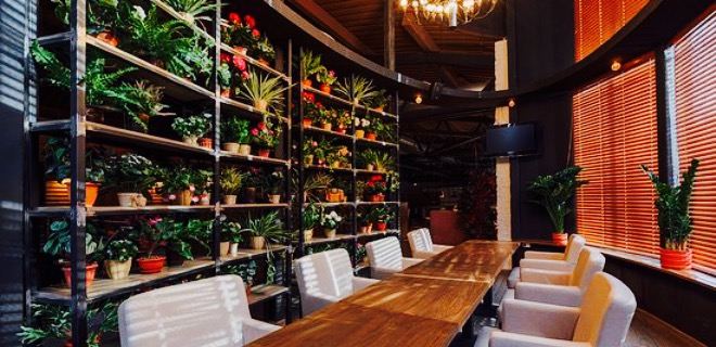 Bbq Grill Bar