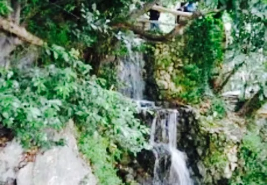 Koundourakis Taverna