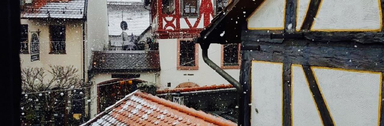 Elefantenhaus Michelstadt