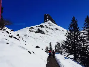 Restaurant Berggasthaus Urnerstaffel