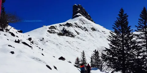 Restaurant Berggasthaus Urnerstaffel