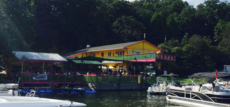The Fish and Company