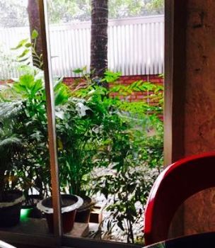 Yellow Cafe