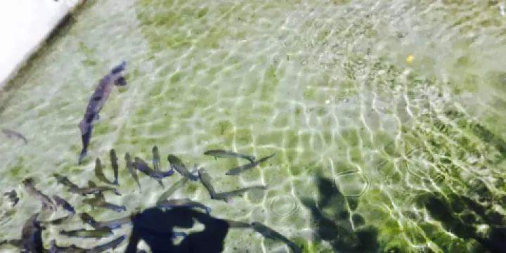 Restauracja Pod Jaskinią