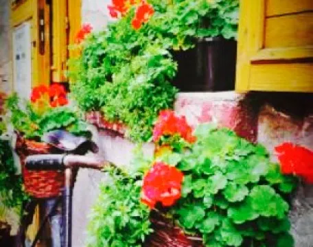 Herbaciarnia Marzenie