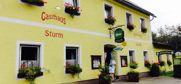 Gasthaus Harmonika Waldi