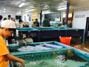 Wells Beach Lobster Pound