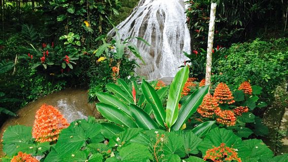 Ocho Rios