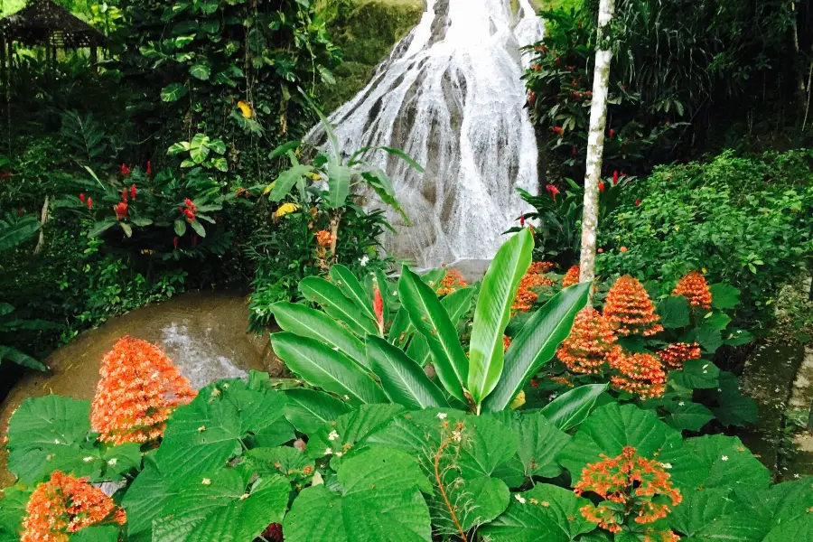 Shaw Park Gardens & Waterfalls