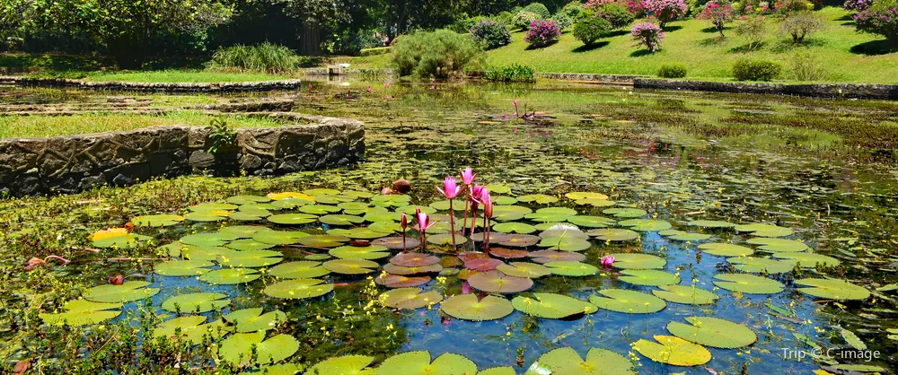Family-Friendly Attractions