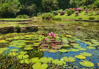 Königlicher Botanischer Garten Peradeniya