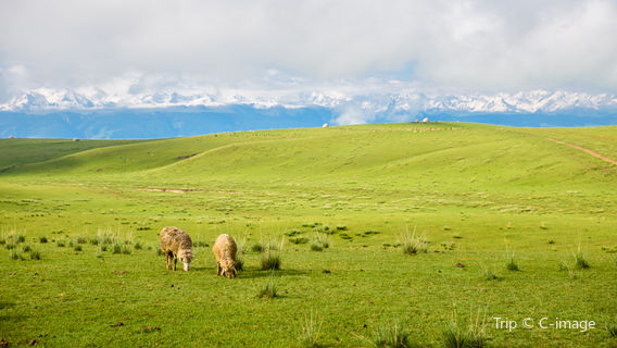 Ili Zhaosu Equestrian Park