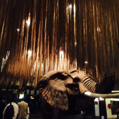 The carnivore restaurant User Photo