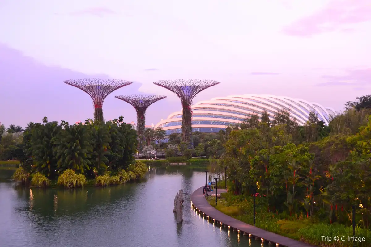 Gardens by the Bay: Leisure Garden Strolls