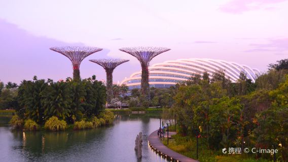 新加坡濱海灣花園+飛禽公園+新加坡河遊船+亞洲文明博物館一日