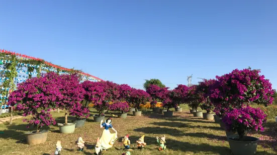 芷欣園世紀花海