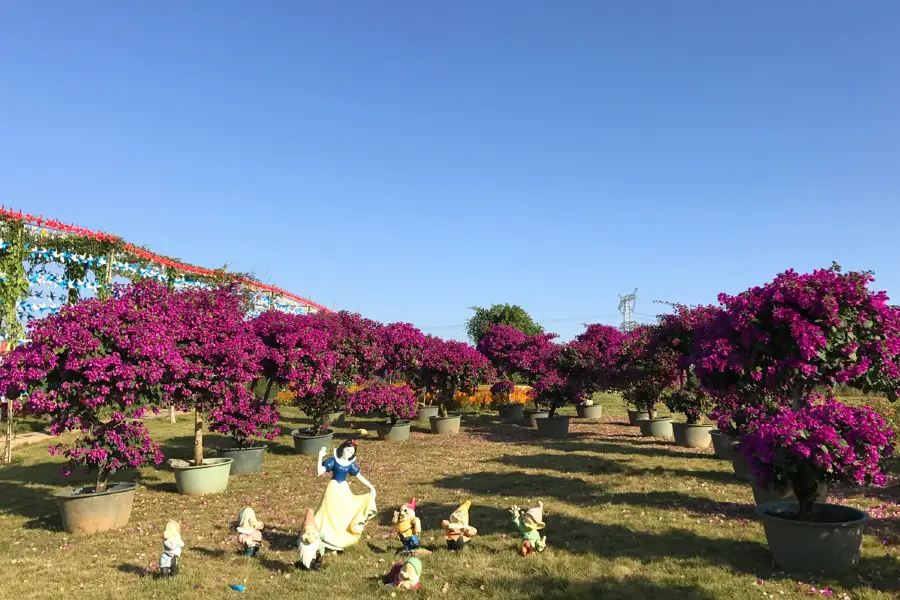 Zhixin Garden Century Flower Sea