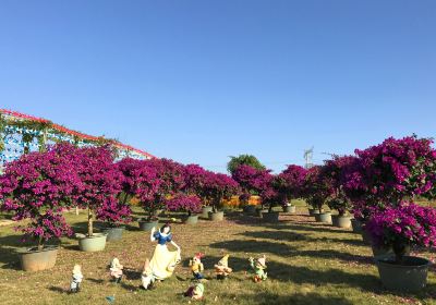 Zhixin Garden Century Flower Sea