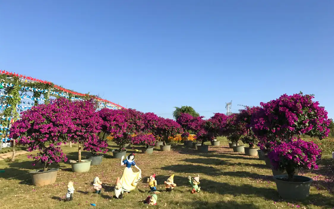 Hotels near Zhixin Garden Century Flower Sea