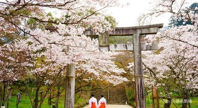 灶門神社