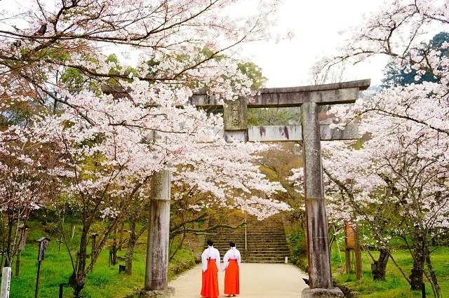 寶滿宮 灶門神社