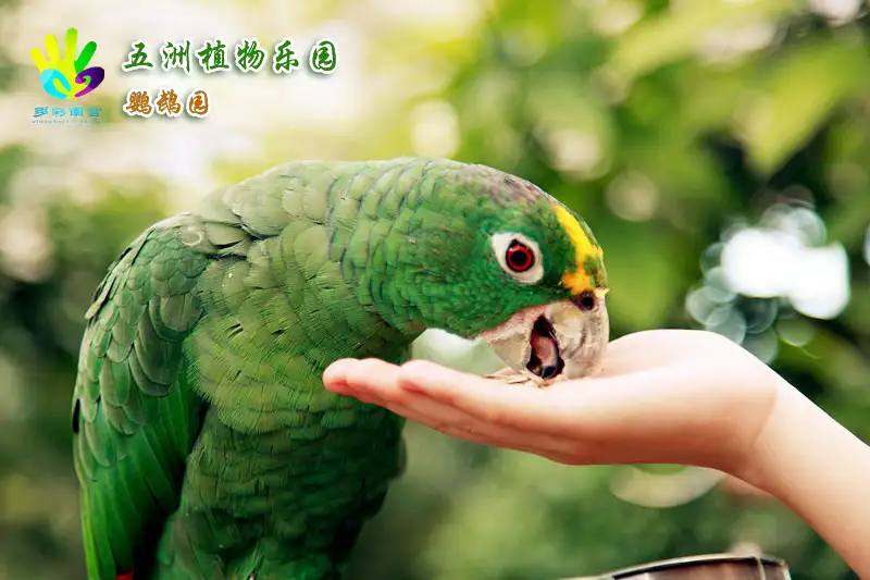 4_Nangong Tourism and Leisure Resort