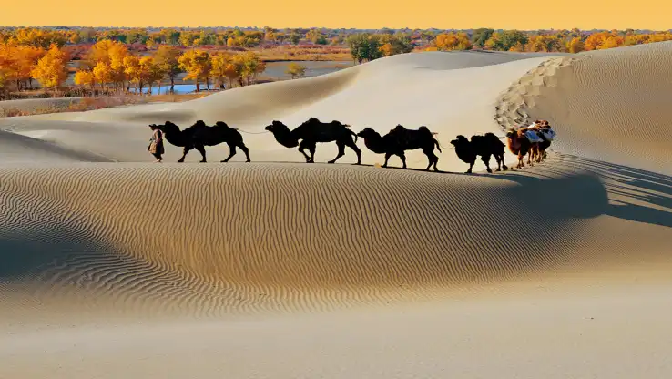 3_Lop Nor Village