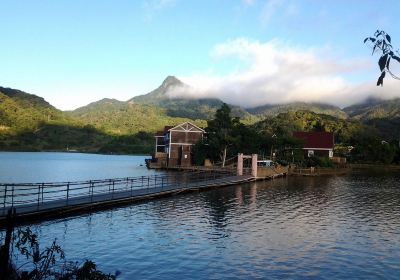 尖峰嶺國家森林公園