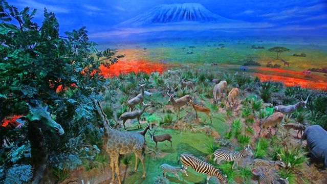 Hengdian New Yuanmingyuan · Royal Live-Action Animal Kingdom