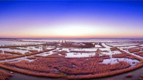 Gaoyou Lake Reed Wetland Park