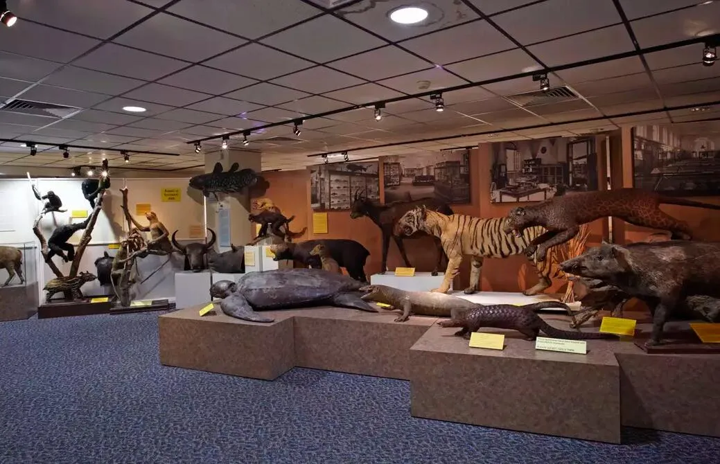 4_李光前自然歷史博物館