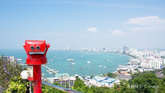 จากพัทยา: ปราสาทสัจธรรม + สวนนงนุช + ทัวร์วันเดียว/ทัวร์หลายวัน ชายหาดแบบพาโนรามา