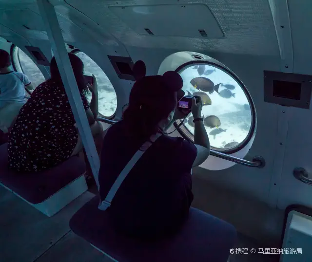 Scuba Diving in Saipan