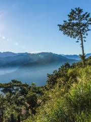 阿里山祝山