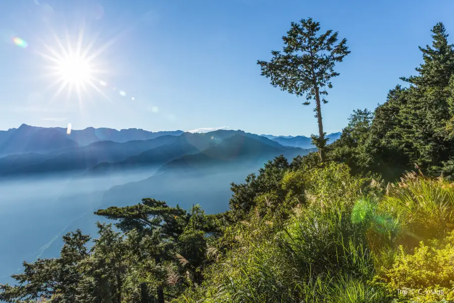 Alishan Jhushan